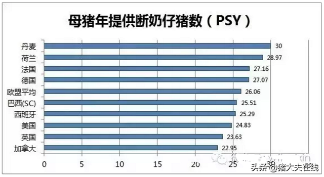 弃其所短，取其所长---世界各国养猪数据大分享