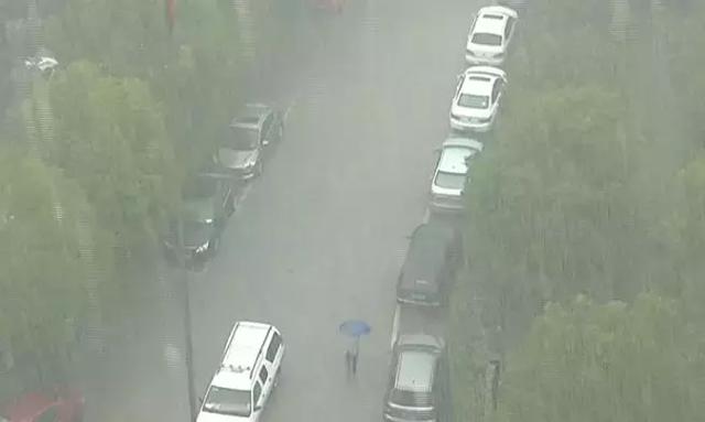 阜阳这场雨有多大？网友：大雁被砸下来了！后面还有几天雨