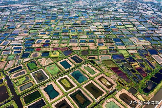 广东广州：政府为保护环境强拆养殖场，还拒绝补偿？法院：补偿