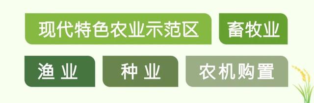 最高1000万元！广西量身定制惠企政策发展现代农业