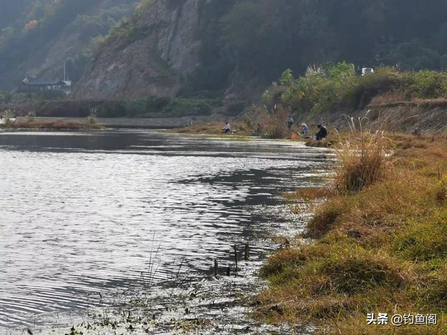 野河爽钓“黄金鲫”，用了2个小技巧，一下午不停口