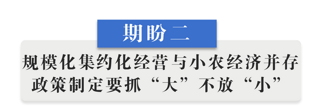 半月谈丨乡村振兴“十二盼”！来自8省24村的蹲点报告