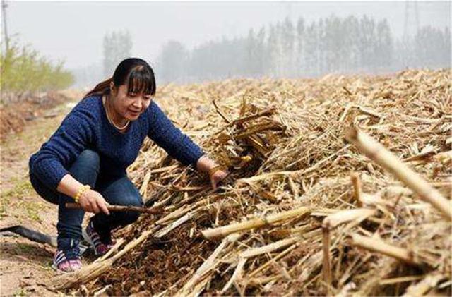 当年放弃200万年薪，跑到农村养蚯蚓的女博士，现在怎样了