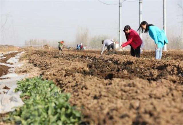 当年放弃200万年薪，跑到农村养蚯蚓的女博士，现在怎样了