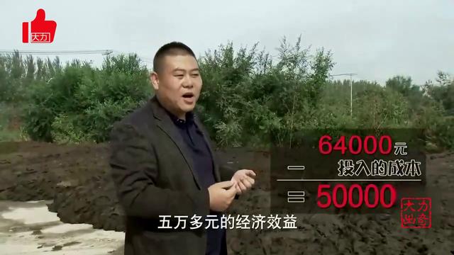 辽宁小伙养蚯蚓，每亩地一年纯赚5万元，年销售额4000多万元