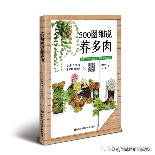 500图细说养多肉——新手“入坑”最专业、最接地气的指导