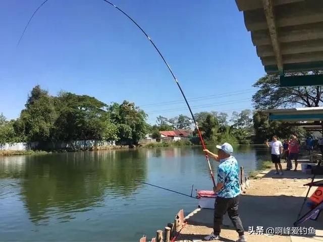 邓刚领衔国内钓鱼人齐聚泰国，寻钓百斤巨鲫，他们钓的真是鲫鱼？