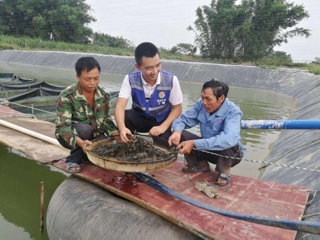 新疆男子沙漠5亩池塘养澳洲淡水虾，个头比手掌大，亩利润达万元