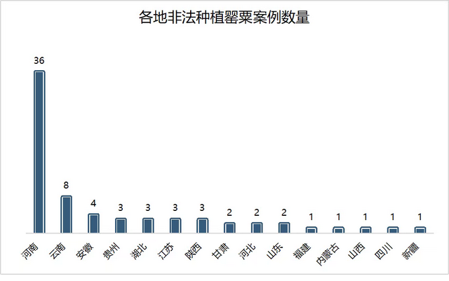 罂粟壳毒患：小吃店非法添加多发，一年多百余起案件宣判