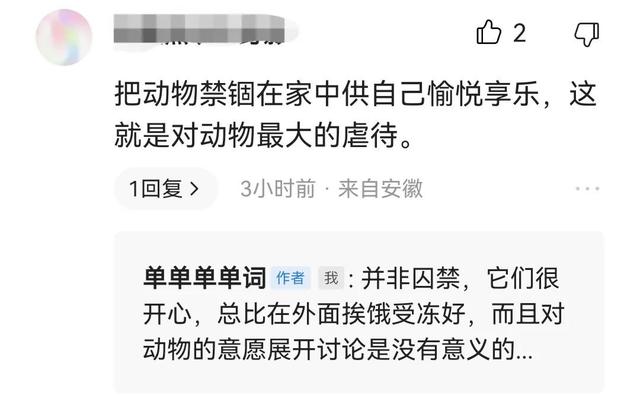 养宠物等于虐待动物？这篇文章给出解释