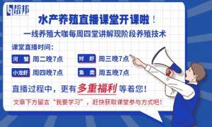 中国对虾养殖新技术(先稳后快亩产7000余斤，一年养6批对虾的方法，养殖户得了解)