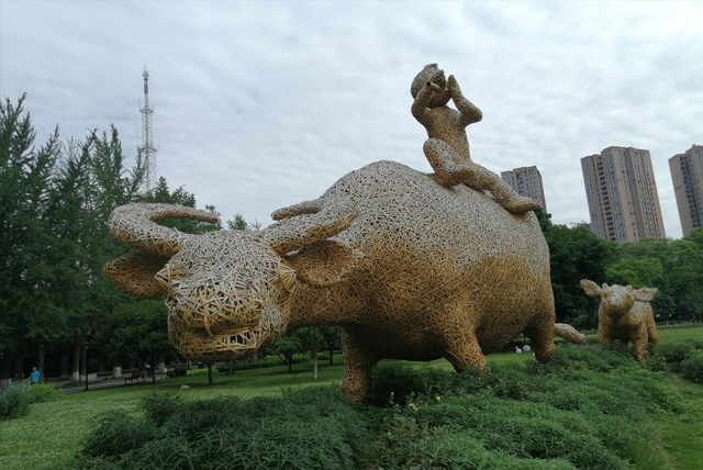 四川德阳，全国最大的竹编景观牛到底有多大？你看了后一定很惊讶