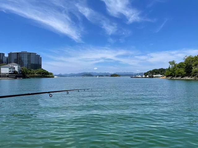 太阳鱼入侵杭州千岛湖，曾在日本导致5种鱼灭绝，在我国能泛滥吗