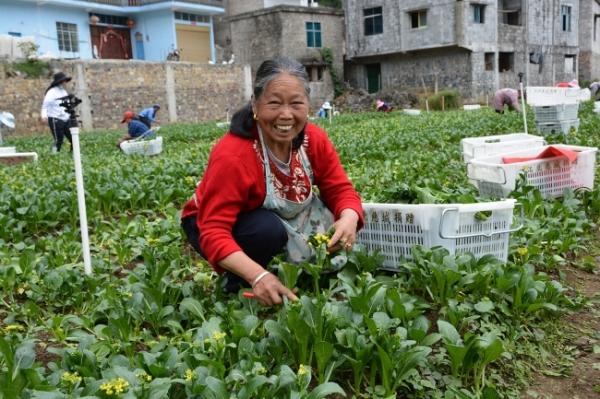 黔西南：人勤春早农事忙 春耕生产正当时