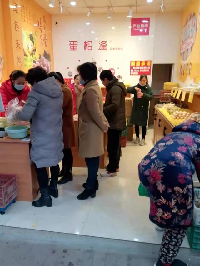 众信—一个做蛋鸡产业链的公司