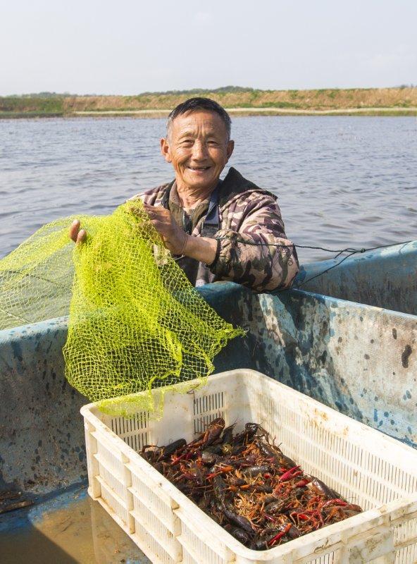 鄱阳湖畔起虾忙