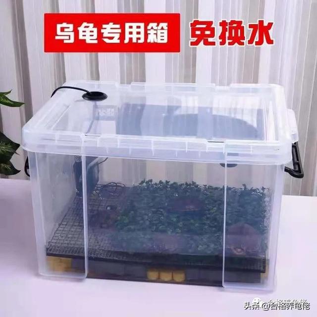 一年不用换水的龟缸，你见过吗？