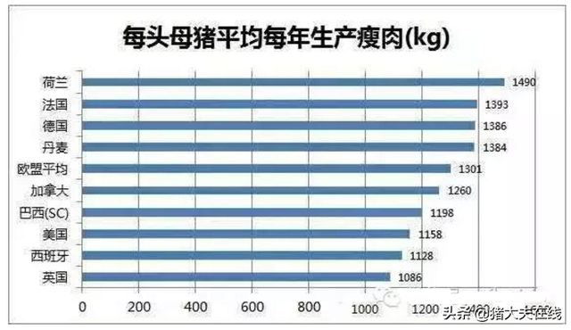 弃其所短，取其所长---世界各国养猪数据大分享