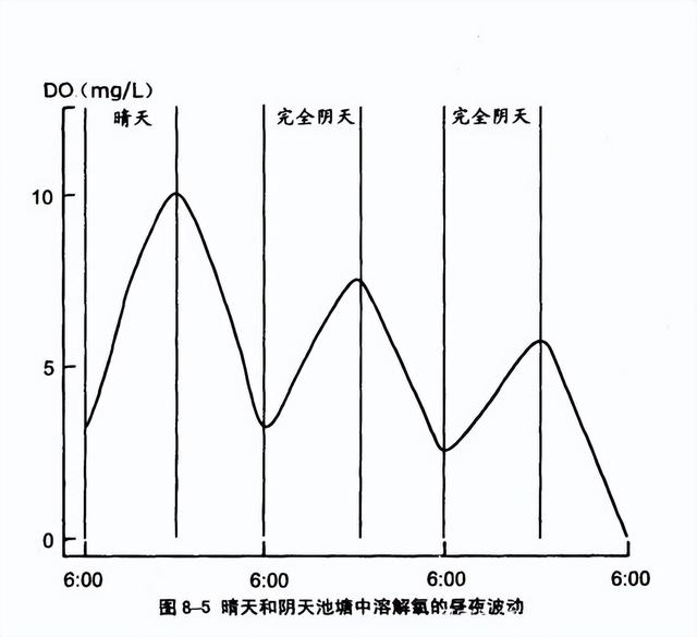 大型海藻养殖密度的变化，与水体DO含量之间，存在哪些量变关系？