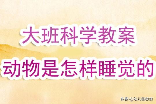 幼儿园大班科学领域教案《动物是怎样睡觉的》含反思