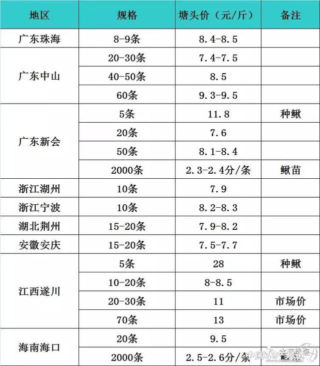 调研｜泥鳅价格3个月跌幅达7元，台湾泥鳅该怎么养？