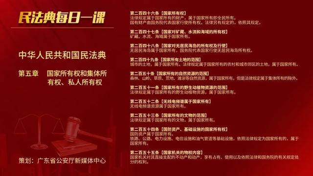 处理2736人！广东警方集中打击涉野生动物犯罪