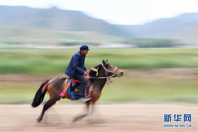 相马“伯乐”李怀智的好日子