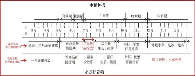 特种水产养殖10种新技术