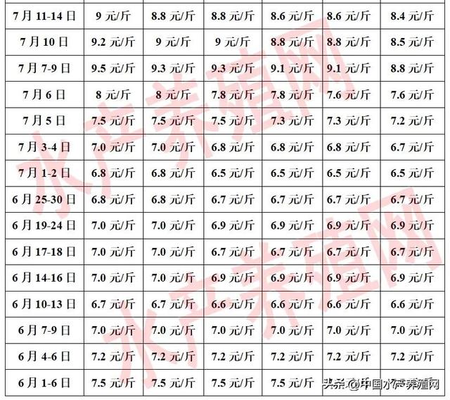 有牛蛙养殖大户5天内少卖千万元！价格比去年高，蛙农赚钱却少了