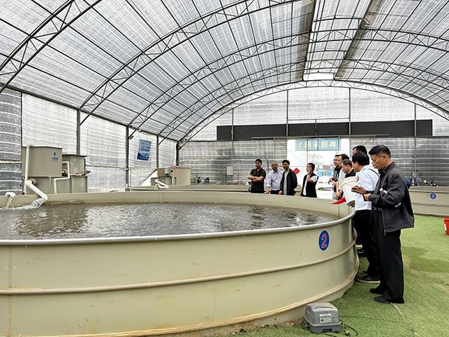 台风海葵来袭，珠三角鱼塘惨遭淹没：陆基循环水养殖成热点