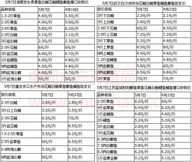 贵州广西上亿斤网箱鱼强力冲击市场，鱼价低迷或延续到五月底