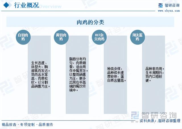 【前景趋势】一文读懂2023年肉鸡养殖行业未来发展前景