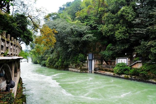 做好充足的准备，打卡成都必去的熊猫基地（附门票+游玩路线）