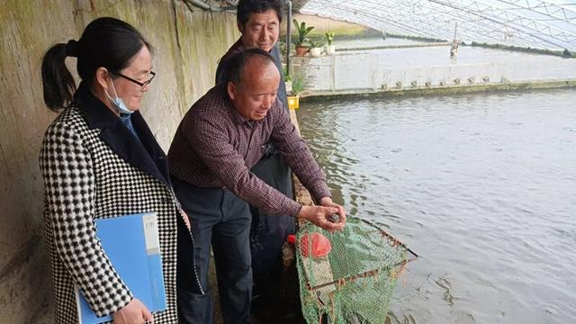 青岛莱西：水产养殖进入繁忙季 育苗放苗正当时