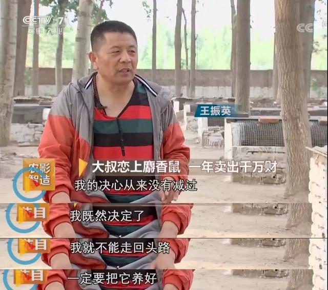 1克就卖上百元！没理论、没技术，他怎么从15亩地上折腾出1500万？