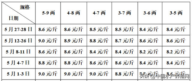 鳜鱼鲤鱼泥鳅疯涨，黑鱼鲈鱼草鱼鲫鱼微涨，对虾鮰鱼牛蛙掉价