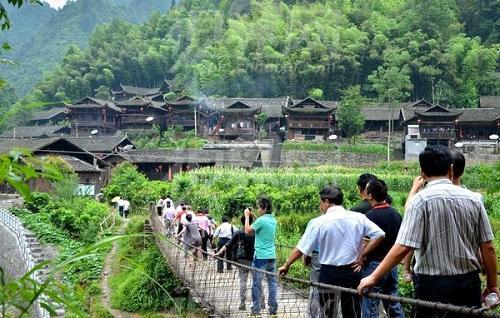 农村大姐在树上种“仙草”，让荒山变金山，一年可收入2000万元