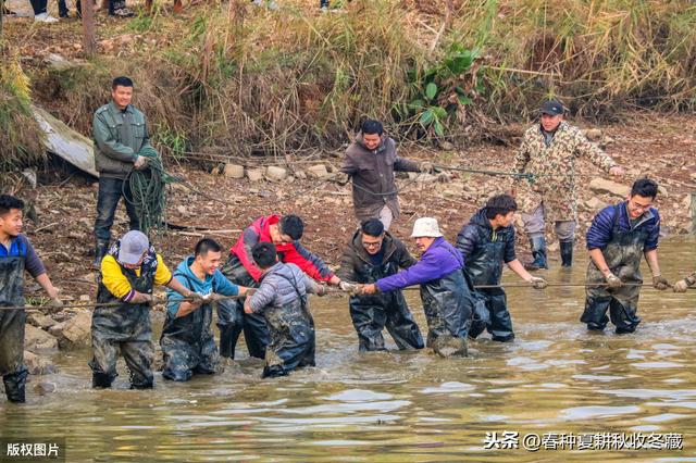 鱼塘捕鱼讲究多，夏季捕捞有技巧：水产养殖夏季鱼塘捕鱼建议