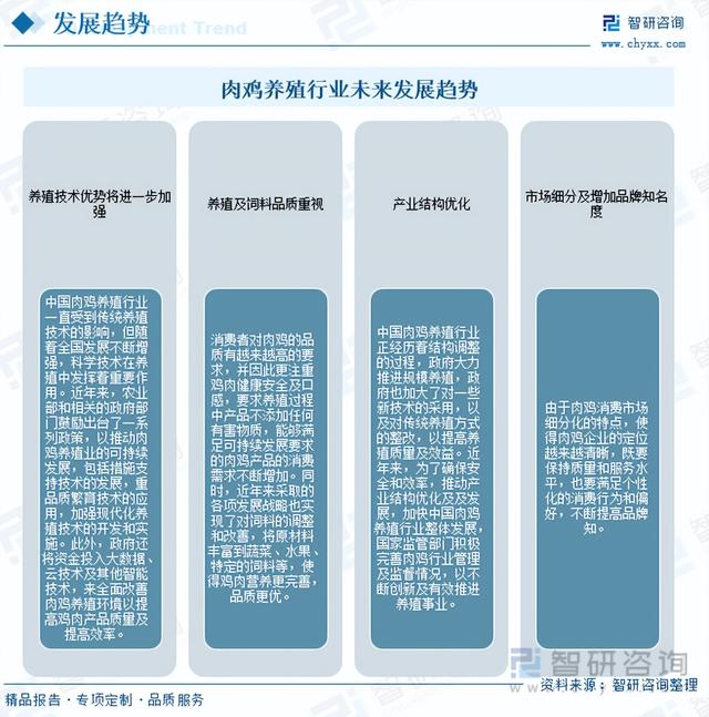 【前景趋势】一文读懂2023年肉鸡养殖行业未来发展前景