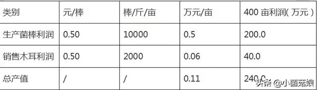 市场前景分析！！一文道出种植黑木耳到底挣不挣钱？