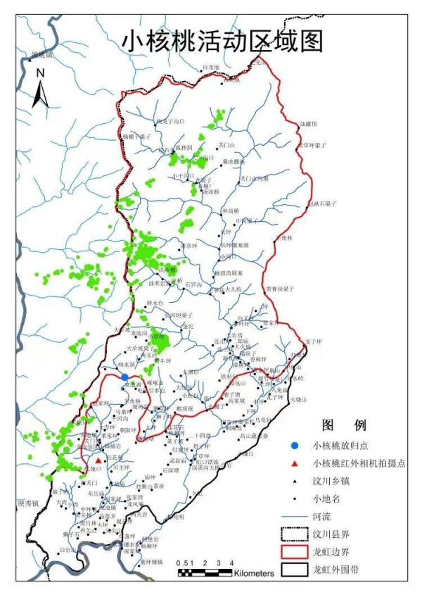 人工饲养东北虎已超1000头，野生东北虎择偶困难，为啥不放生？