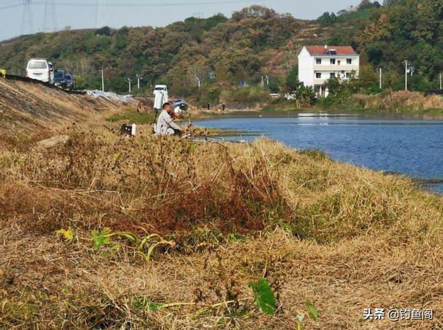 野河爽钓“黄金鲫”，用了2个小技巧，一下午不停口