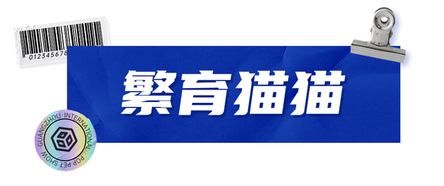 以培养健康猫咪为使命的浩一名猫—缅因库恩猫繁育基地！