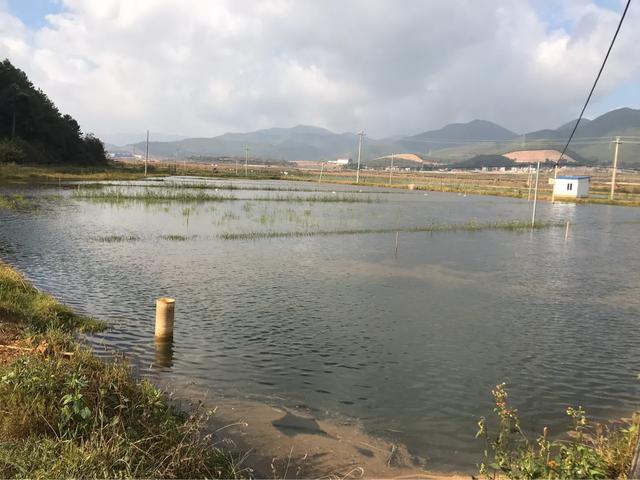 昆明寻甸水产养殖基地低价出租