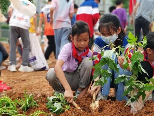 广西北流：建成占地超两千平方米的校外劳动科普基地