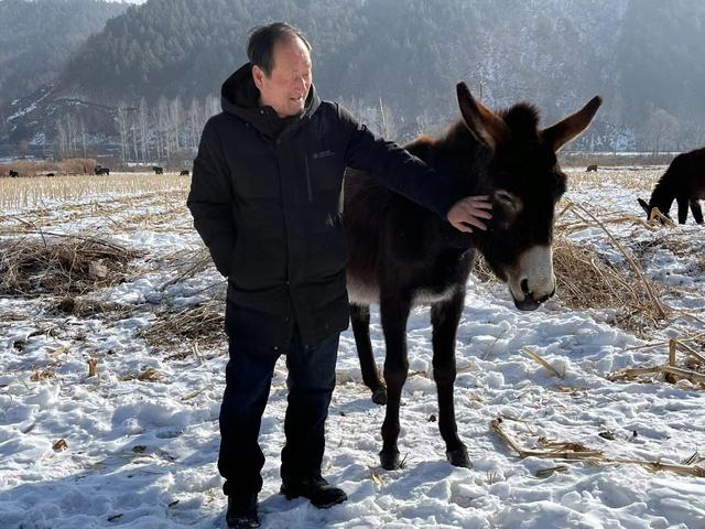 汪清县大兴沟镇河西村：发展肉驴产业 闯出致富新路