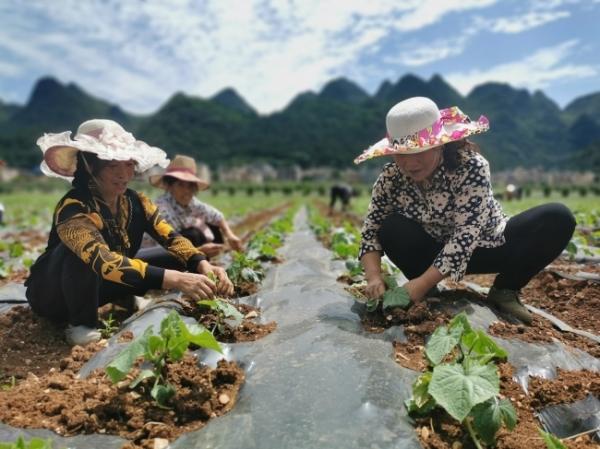 黔西南：人勤春早农事忙 春耕生产正当时