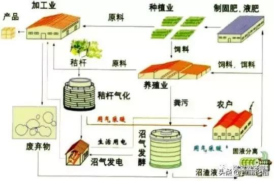 不打农药，病虫害会不会爆发？不要低估了大自然的力量