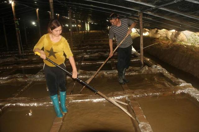 “珍珠之恋”把珍珠蚌育苗场地建成国家级健康养殖场