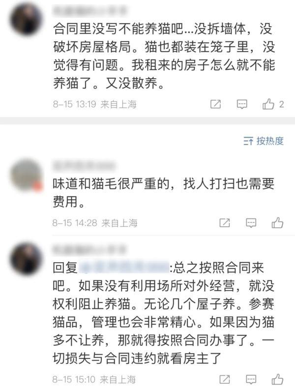 三千万的上海独栋别墅，租客改成猫舍……业主回国崩溃